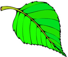 Green Color Activities & Fun Ideas for Kids