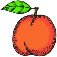 Orange Color Activities & Fun Ideas for Kids