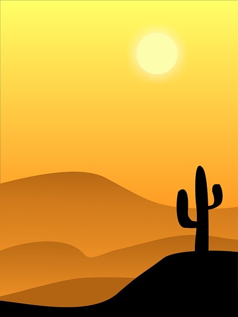 desert-