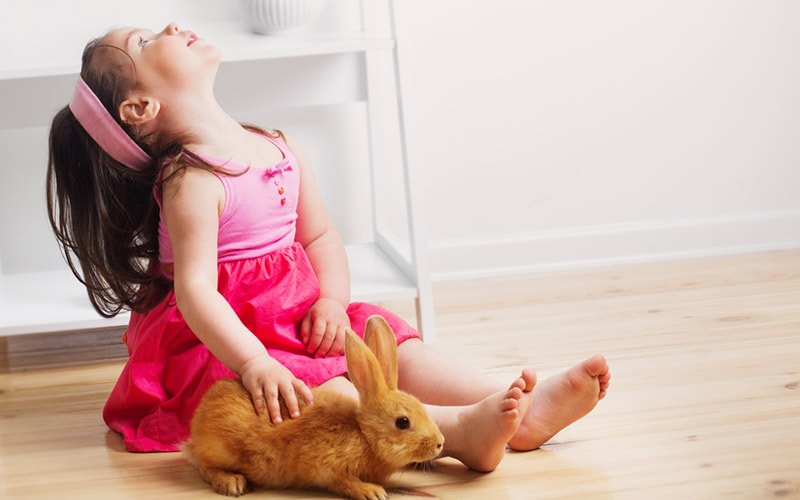 10 Best Pet Recommendations for Kids - ChildFun