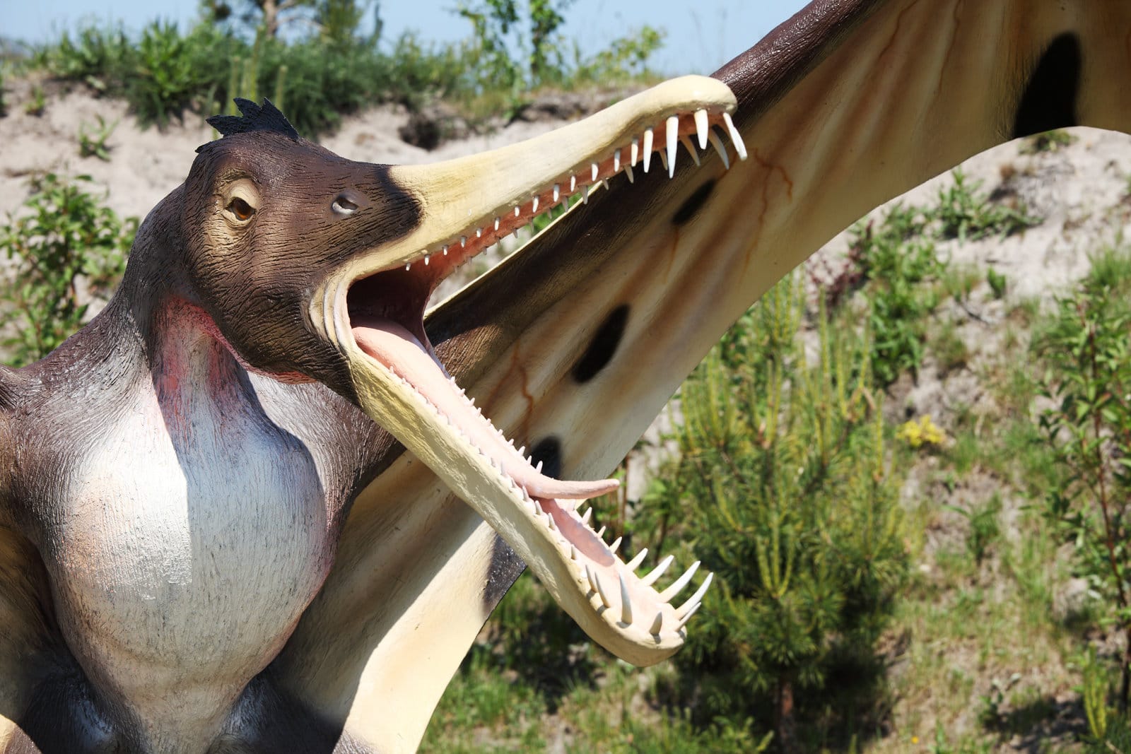 Creative Dinosaur Puns That Will Make You Roar