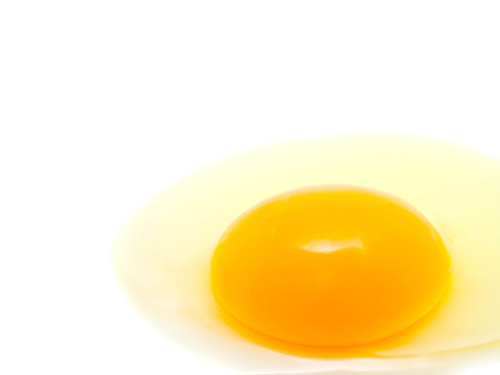 Creative Egg Puns That Will Make You Flip