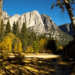 Things to Do in Yosemite with Kids