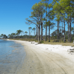 Things to Do in Pensacola with Kids